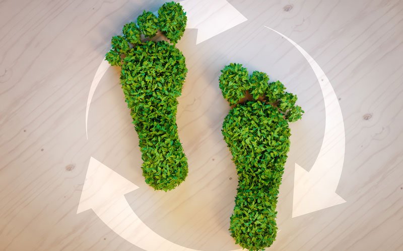 How to Reduce Your Carbon Footprint: A Quick Guide