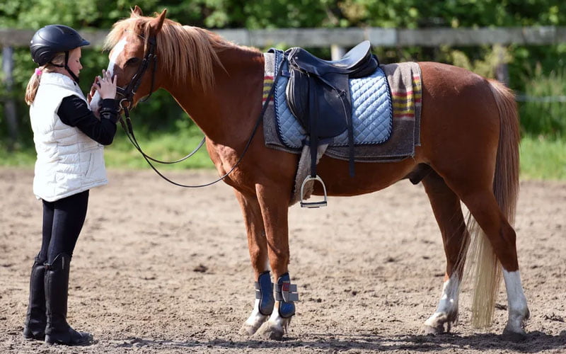 3 Tips for Buying Equestrian Clothing