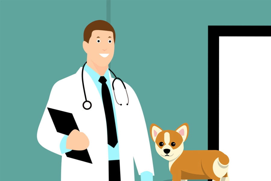 How to Start Your Own Veterinary Clinic